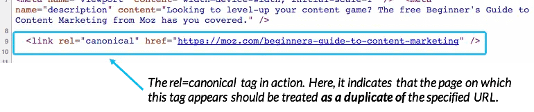 หน้าตาของ Canonical tag ในหน้า html