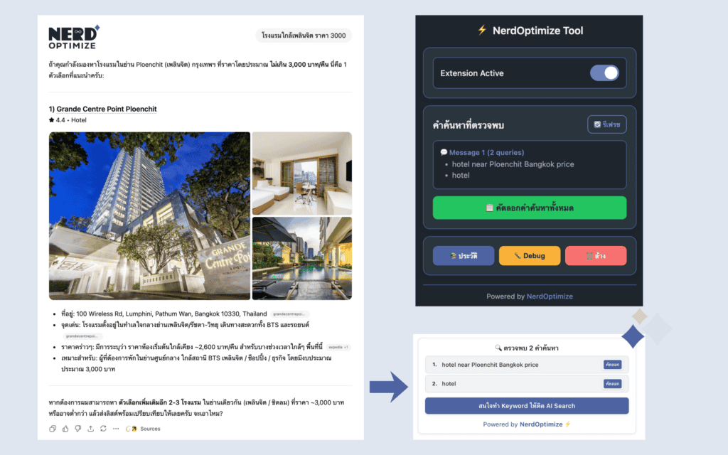 Query Detector Nerdoptimize Extension Tool